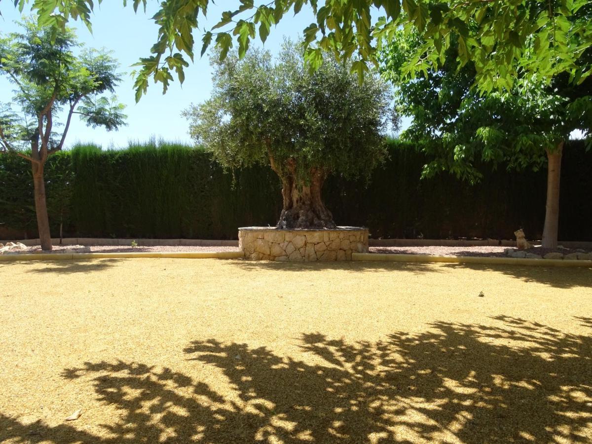 Huerto Espuna Тотана Экстерьер фото